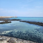 Strava Hike Activity 올레길 18코스 : 제주원도심 - 조천 올레 - 양종열 [s 19.5 km hike