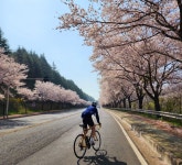 Strava에서 김 승.님이 2023년 4월 9일에 수행한 트레이너 활동 Night Ride - 김 승.s bike ride