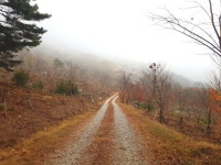 Strava 사이클리스트 프로필 | Kevin B.