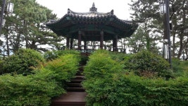 형섭 김 | Strava를 사용 중인 사이클리스트