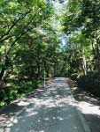 Strava 걷기 활동 #아침산책 - 김 원정s 0.7km walk