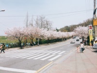 Strava 사이클리스트 프로필 | Bomi C.