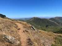 3.3 mi Run Activity on May 23, 2018 by David F on Strava Cypress in the mist - David Fs 3.3 mi run
