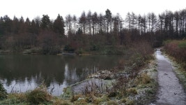 Strava 달리기 선수 프로필 | Ian M.