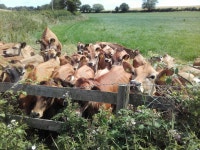 Strava 사이클리스트 프로필 | Helen R.