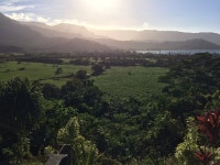 Ana Nym | Strava를 사용 중인 사이클리스트