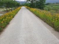 Strava에서 마루금 강.님이 2019년 6월 6일에 수행한 50.2km 라이딩 활동 Morning Ride - 마루금 강한모s 50.2km bike ride