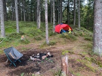 Strava 달리기 선수 프로필 | Lasse  Bing Larsen