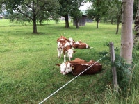 Sven Niendorf | Strava를 사용 중인 사이클리스트