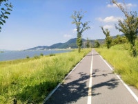 Strava 사이클리스트 프로필 | 주현 정.