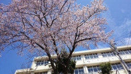 Strava 달리기 선수 프로필 | Shuichi T.