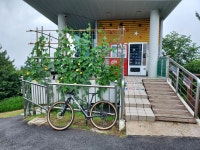 71.1 km Ride Activity on March 11, 2023 by [FEBBRE] 김 on Strava 샤방솔플LSD 주천면 , 무릉도원면 라이딩 :) - [FEBBRE] 김s... 