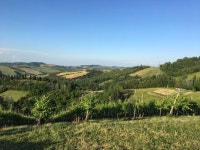 Strava 사이클리스트 프로필 | Riccardo Ruggeri