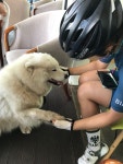 Strava에서 Team Bianchi L 류.님이 2018년 5월 26일에 수행한 160.9km 라이딩 활동 뚜르드 제주 - Team Bianchi l 류류s 160.9km... 