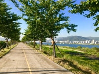Strava에서 밀감귀신 🍊.님이 2019년 5월 22일에 수행한 51.2km 라이딩 활동 190522수.w요요, 나니/ 원동1✖️2 - 밀감귀신... 