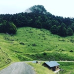 LES ANIMAUX Jean-François | Strava를 사용 중인 사이클리스트