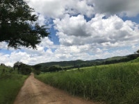 Strava 사이클리스트 프로필 | Phillip M.