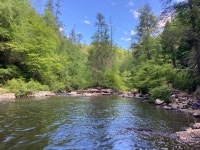 Strava 하이킹 활동 Morning Hike - Rachel P.s 8.5mi hike