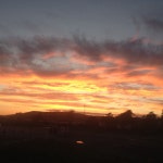 Strava 사이클리스트 프로필 | Harry T.