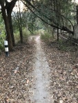 Strava 사이클리스트 프로필 | Theerapan V.