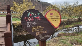 Strava 걷기 활동 의성 산수유 축제 - ☆구미조인성 ☆.s 6.0km walk