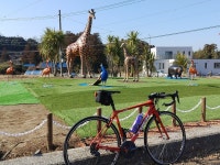 88.8 km Ride Activity on February 8, 2024 by Hideaki O on Strava Africa Tour (UCI 1.7) - Hideaki Os 88.8 km bike ride