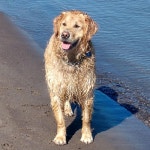 Strava 사이클리스트 프로필 | Lisa Winchester NoMad