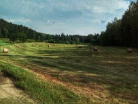 Strava 사이클리스트 프로필 | Sławek O.