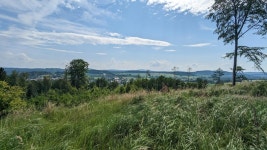 Strava에서 Marc S.님이 2023년 6월 11일에 수행한 29.5km 달리기 활동 Good Morning Löbau 👋⛰️🗼 - Marc S.s 29.5km run