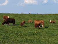 176.7 km Ride Activity on May 2, 2023 by Philippe A on Strava Saint-Rambert-en-Bugey - Sévery - Philippe As 176.7 km bike ride