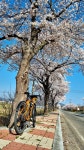 Strava에서 낭만자전거 박.님이 2023년 4월 2일에 수행한 65.9km 라이딩 활동 2023/4/2 - 낭만자전거 박.s 65.9km bike ride