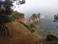 Cristian Martinez | Strava를 사용 중인 달리기 선수