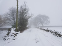 Strava 달리기 선수 프로필 | Andrew W.