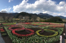 Strava에서 Naoto S.님이 2020년 4월 2일에 수행한 135.1km 라이딩 활동 Video Shooting for JBCF - Naoto S.s 135.1km bike ride