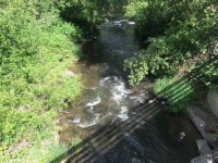 Strava에서 Gail B.님이 2019년 5월 25일에 수행한 61.5mi 라이딩 활동 Bear Creek Greenway end to end and beyond to Emigrant... 