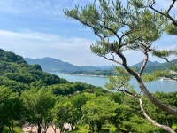 52.5 km Ride Activity on June 10, 2024 by scoho on Strava 왕숙천 - scoho  s 52.5 km bike ride