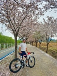 Strava에서 [다산] 허.님이 2023년 4월 4일에 수행한 60.2km 라이딩 활동 양수🌸 - [다산] 허.s 60.2km bike ride