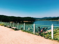 Strava에서  자영 C.님이 2016년 10월 6일에 수행한 41.5km 라이딩 활동 모닝 솔라_상광교 -  자영 Che,체s 41.5km bike ride