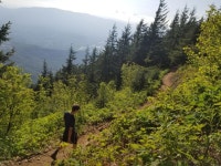 Strava 하이킹 활동 Mailbox Peak - Jessie Bartons 8.3mi hike