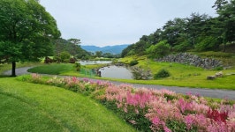Strava 골프 활동 Rexfield Valley Course Out - Run, M.s 5.2km golf