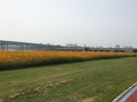 Strava 사이클리스트 프로필 | [대전 한빛철인]우찬 J.