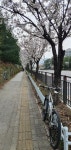 13.6 km Ride Activity on April 12, 2022 by [WATTS] 김 on Strava 자퇴 - [WATTS] 김s 13.6 km bike ride