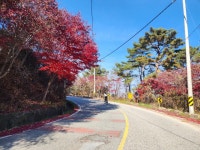 Strava에서 병렬 안.님이 2022년 11월 9일에 수행한 155.1km 라이딩 활동 봉화 영양 청송..  BYC코스  - 병렬 안.s 155.1km bike ride