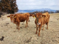 Strava 사이클리스트 프로필 | Shuzo Hikida