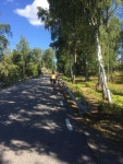Strava 사이클리스트 프로필 | Jesper H.