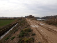 Strava 사이클리스트 프로필 | Goyokogoyo B.