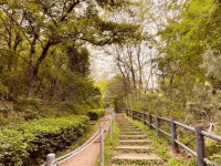 Strava 걷기 활동 점심 걷기 - 김현태 [ROSA]s 5.8km walk