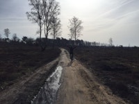 Tom Dijkstra | Strava를 사용 중인 사이클리스트