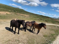 Strava에서 Kurt T.님이 2019년 7월 7일에 수행한 10.3km 달리기 활동 Lucca Heavy Rain Run - Kurt Tollaksen☕️s 10.3km run
