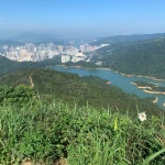 Strava에서 John Ellis R.님이 2019년 6월 15일에 수행한 14.3km 달리기 활동 Wendy’s Leaving Run - John Ellis ran with T8... 